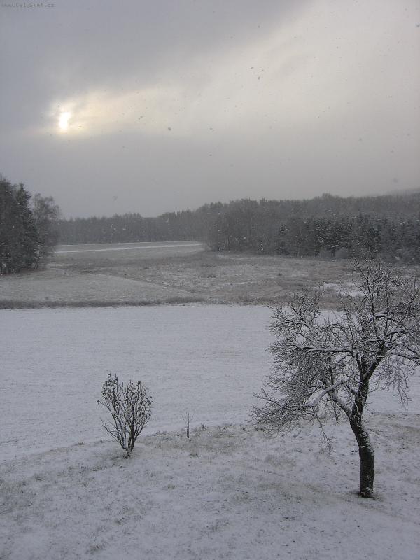 Foto: strom v zim�-krajina