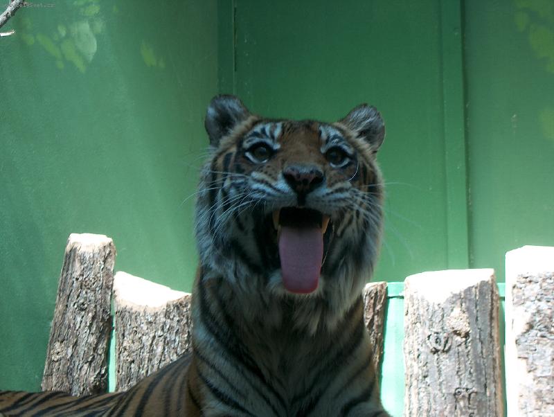 Foto: Zoo Praha