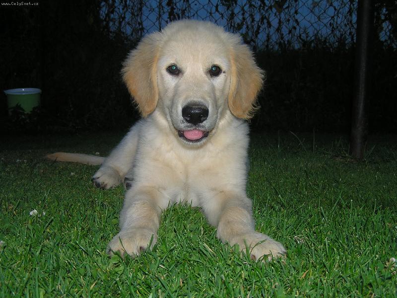 Foto: BRIXI
