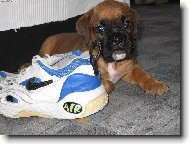 Kdy� to mus� b�t..........
