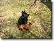na�e holky