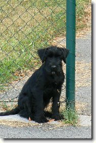 Na str�i