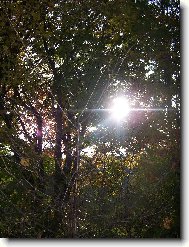 Slun��ko