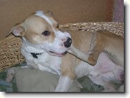 Max�k