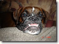 Bax�k