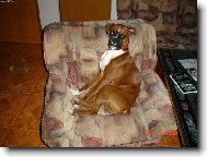 Bax�k