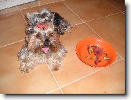 Betty houba�ka