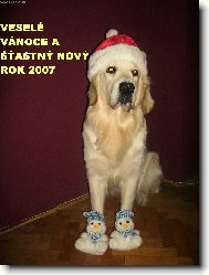 vesel� v�noce