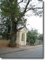 Kapli�ka