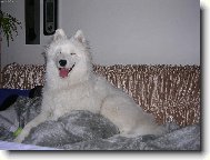 po velk� jarn� proch�zce