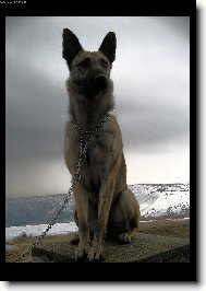 Sfinga na Prad�du