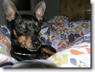 Postelov� pohoda