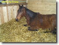 kon�k