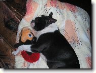 Ospinkan� miminko