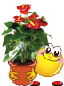 V�ce smajl�k� ke sta�en�