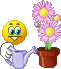 V�ce smajl�k� ke sta�en�